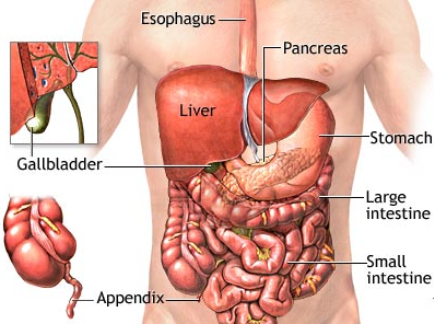 What are the usual causes for stomach pains after eating?