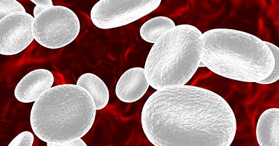 What can cause white blood cells to be in urine?