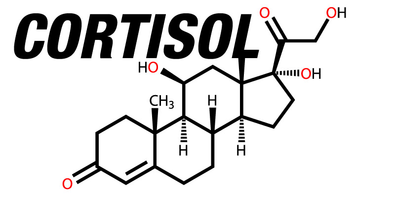 cortisol producing tumor
