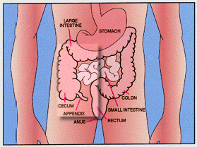 pain in right side illness