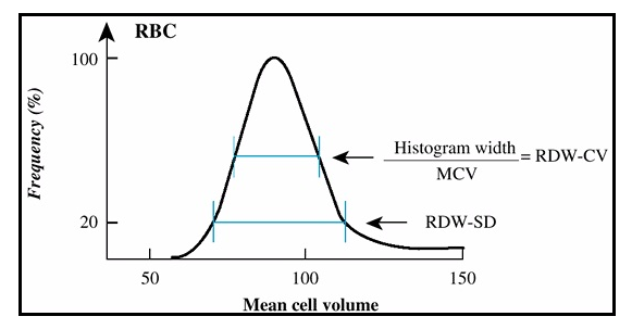 فرق بین RDW-CV و RDW-SD